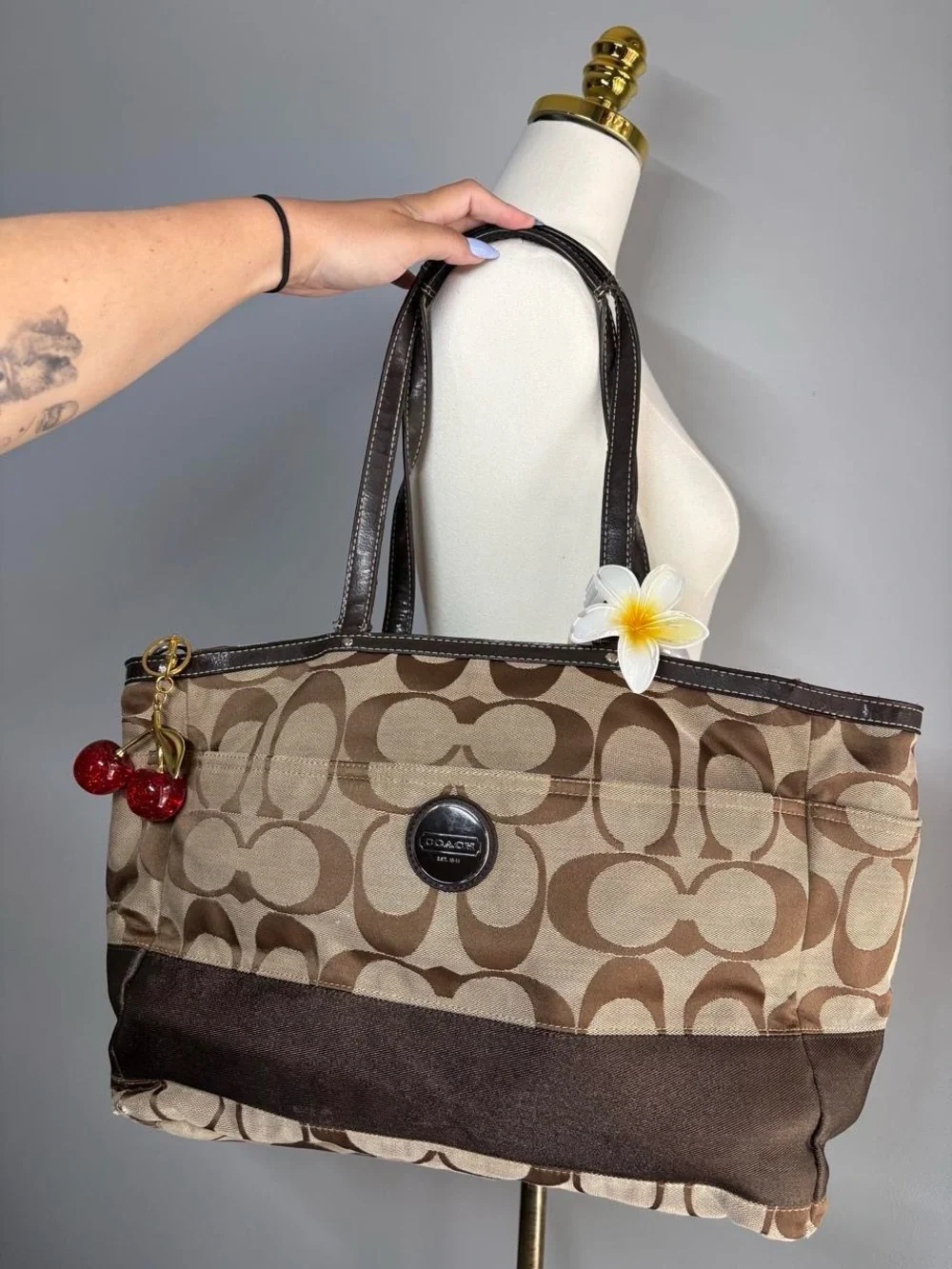Coach Y2K Signature Canvas Tote Bag in Brown
